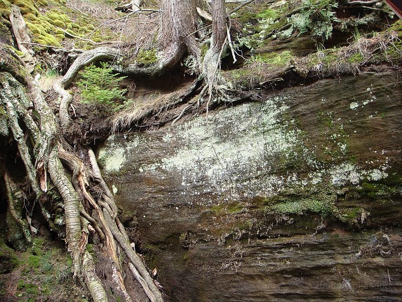 315 Memorial Day [2008 May 23].JPG - Scenes from Tahquanemon Falls in the Michigan Upper Peninsula.